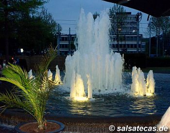 Salsa in Bonn: Maritim-Hotel